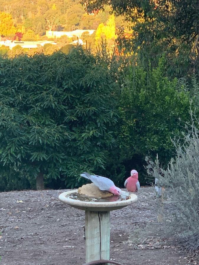 Thistle Do Bed & Breakfast *
